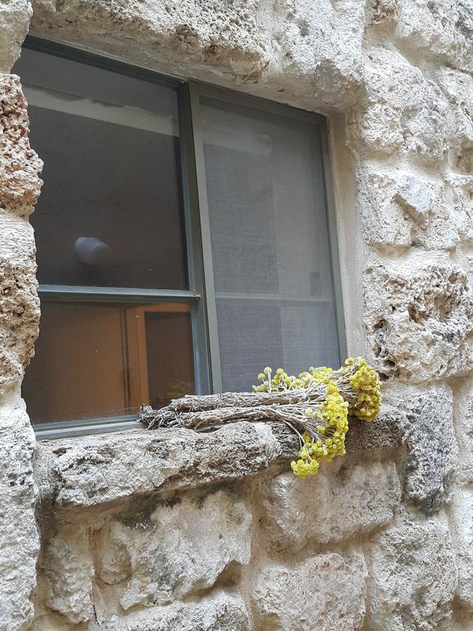 ホテル The House Of Taly & Erez Neta‘im エクステリア 写真
