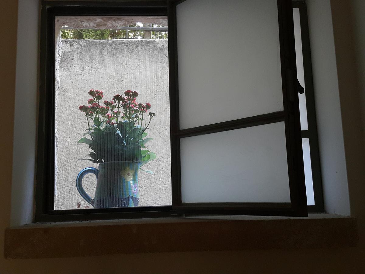 ホテル The House Of Taly & Erez Neta‘im エクステリア 写真