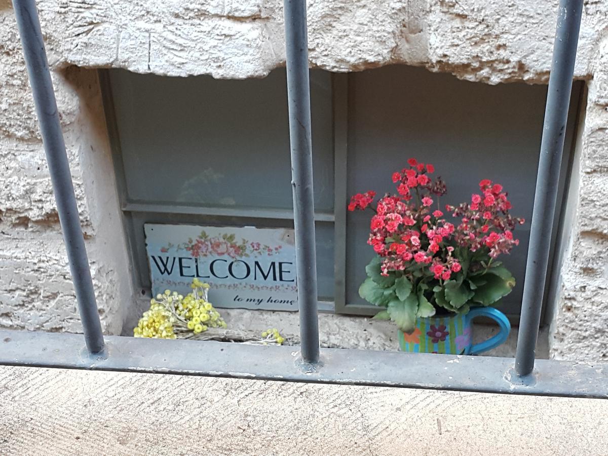 ホテル The House Of Taly & Erez Neta‘im エクステリア 写真