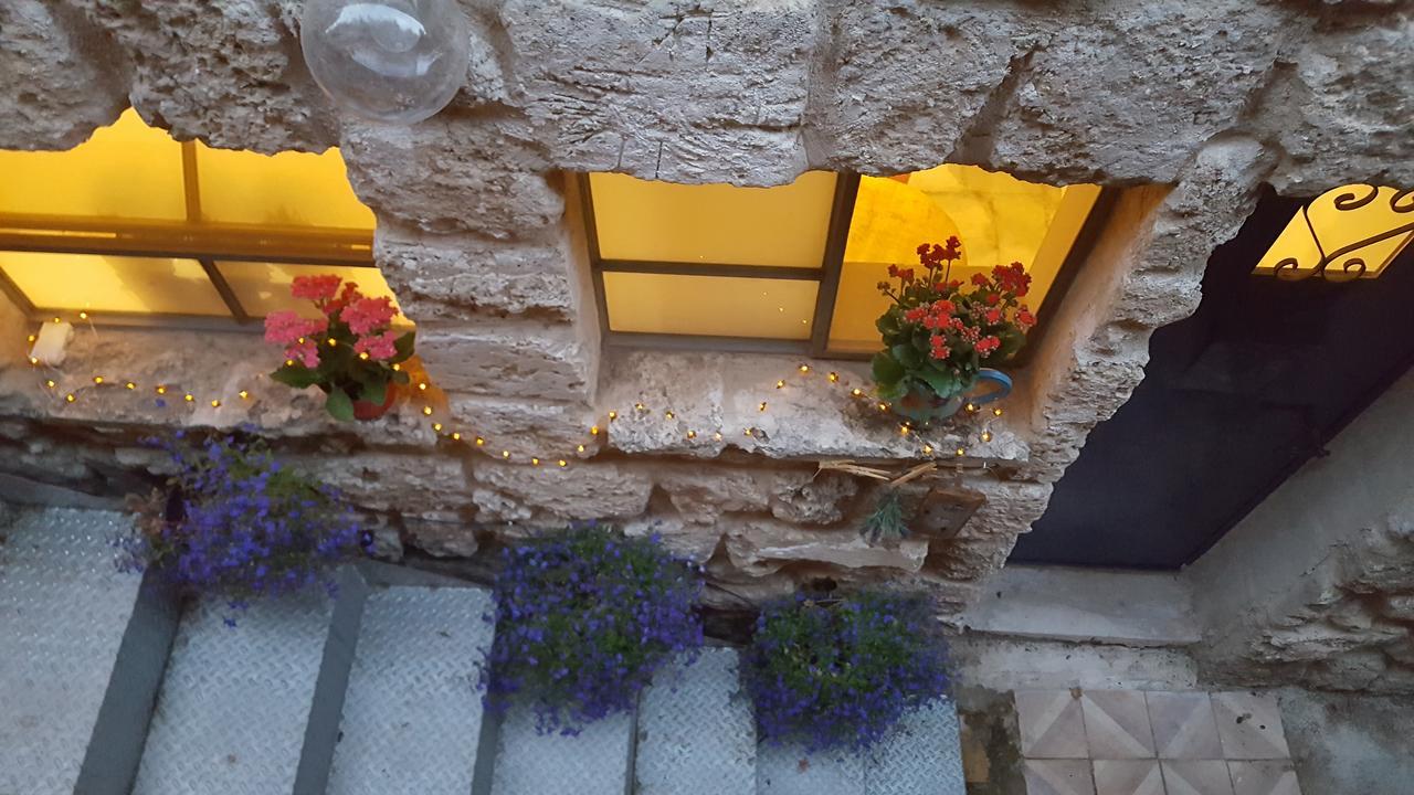 ホテル The House Of Taly & Erez Neta‘im エクステリア 写真